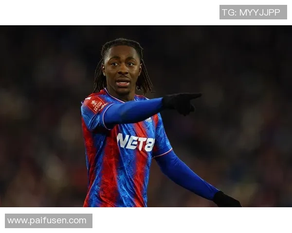 足球场上恶意伤害球星事件频发背后隐藏的深层次问题与责任追究